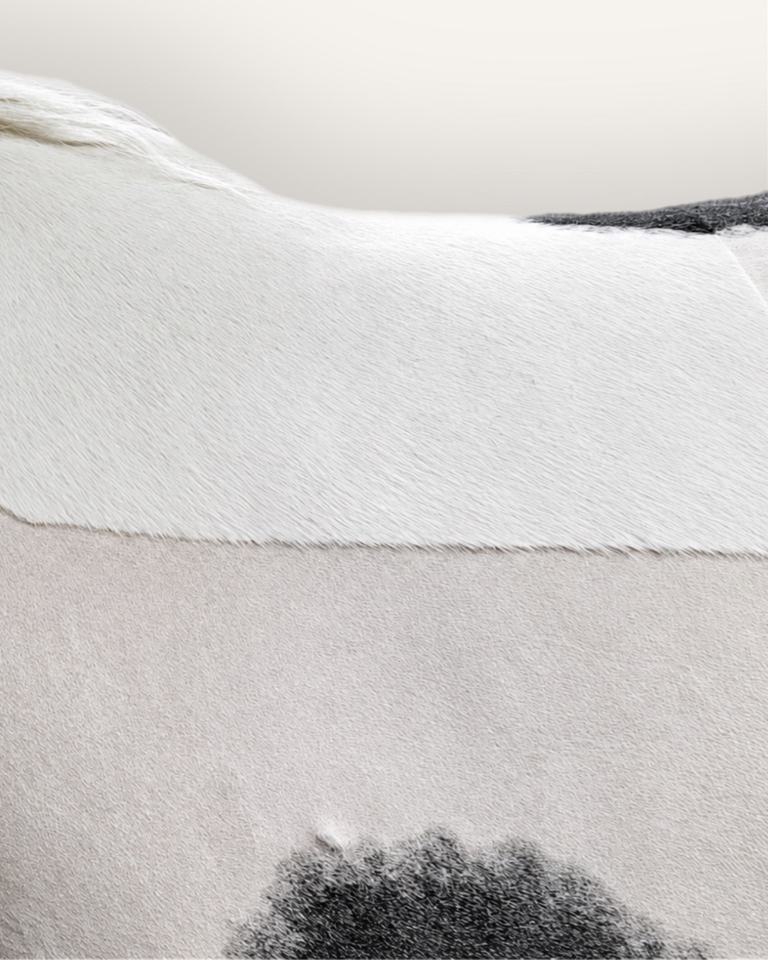 Piebald coat finish — Clipique